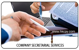  Company Secretary 